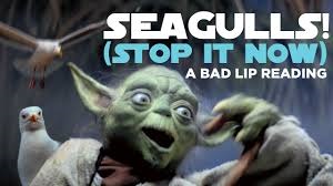 Seagulls s.. it now!.jpg
