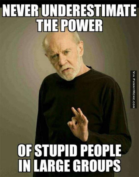 stupid.jpg