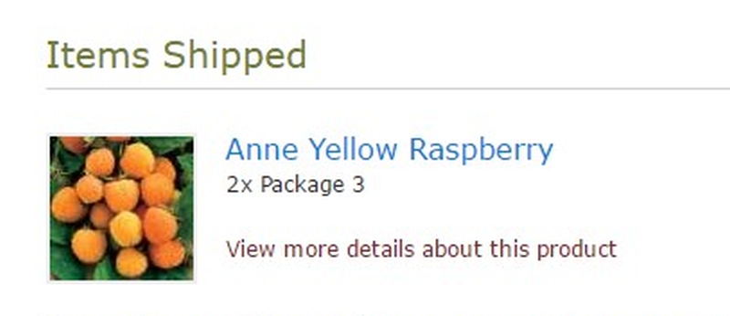 anneyellow.jpg