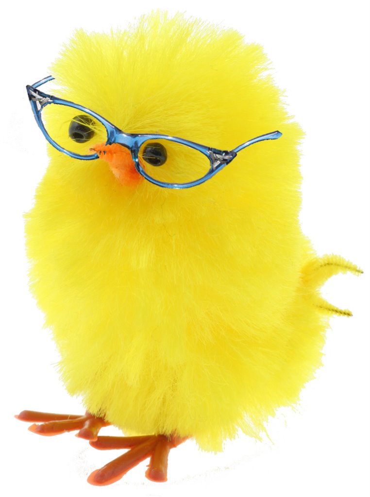 chick_with_glasses.jpg
