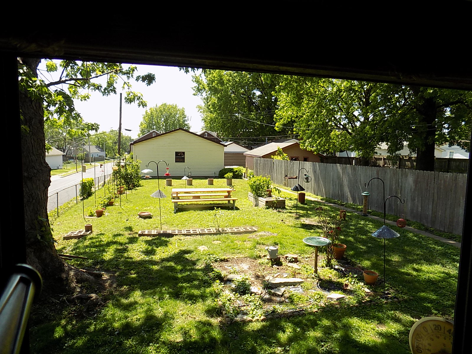 backyard.jpg