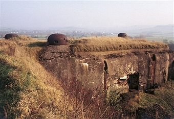 141561424.jpg