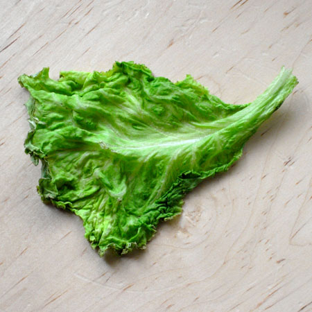saladbefore.jpg