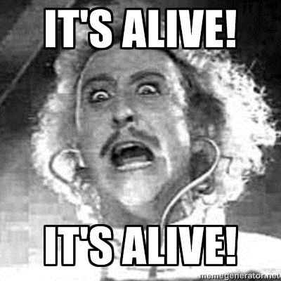 Alive.jpg