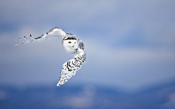 beautifil..sky560.jpg