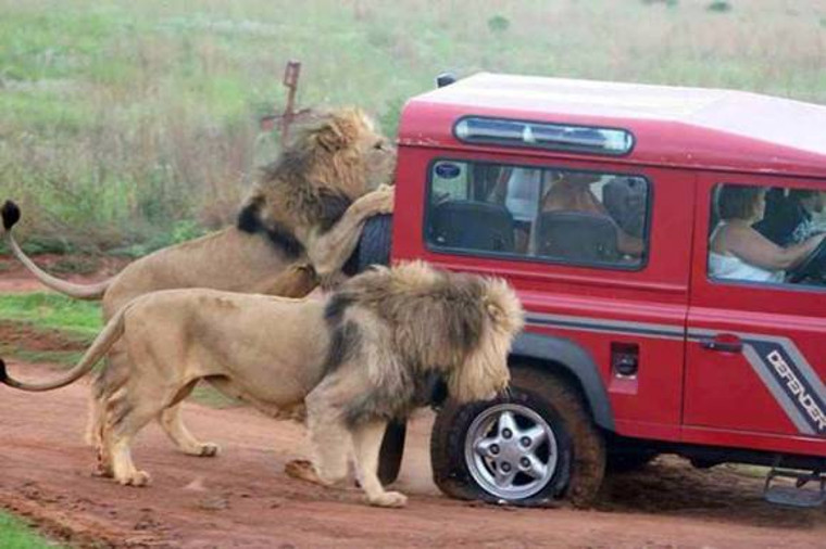 fun_africa_01.jpg