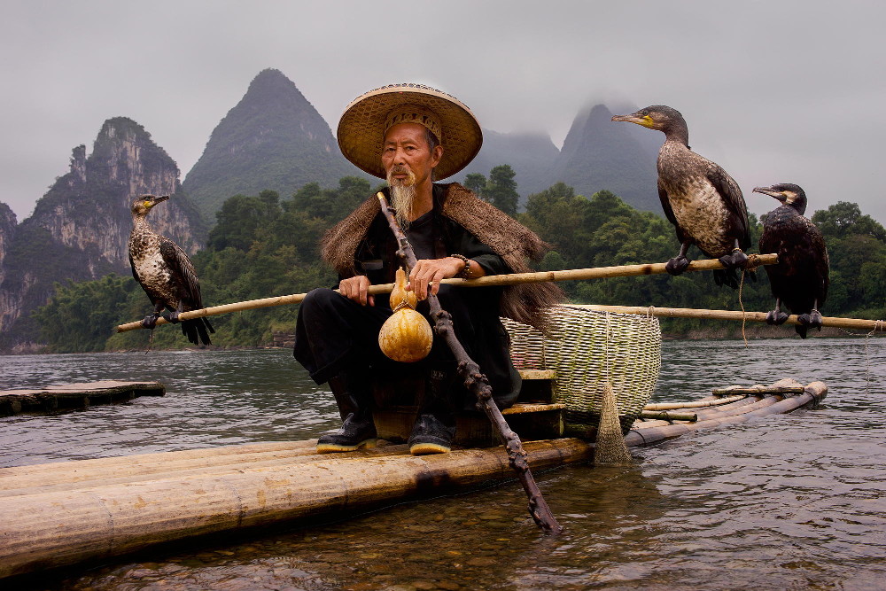 Cormorant..LiRiver.jpg