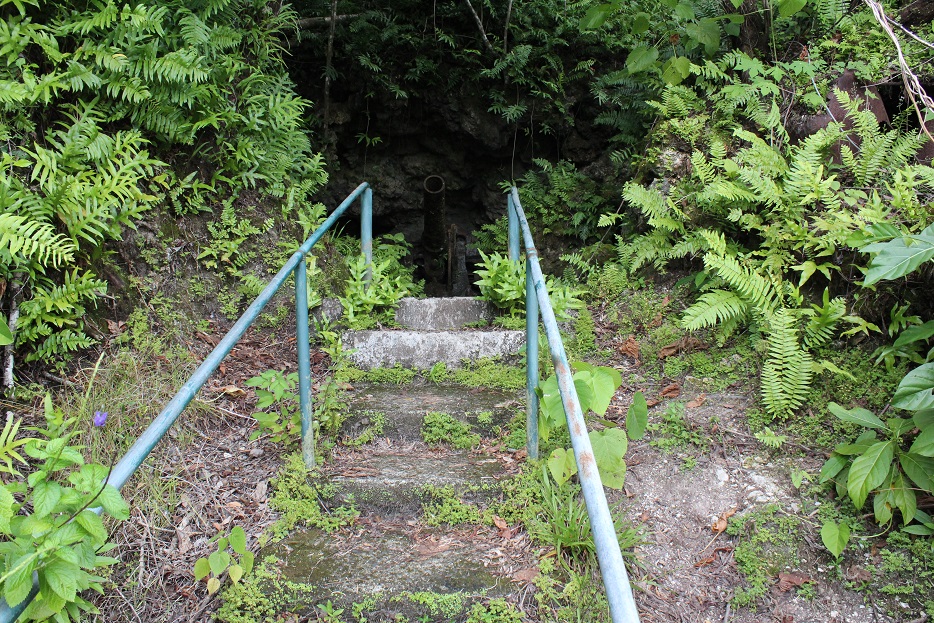 IMG_8167.jpg