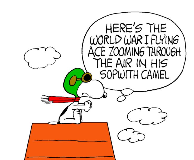 snoopy.jpg