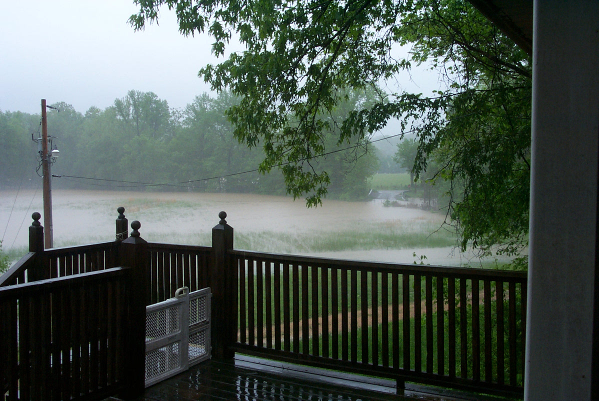 P0000576.jpg
