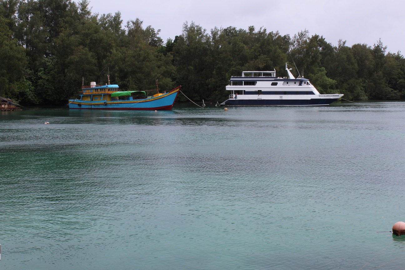 IMG_8476.jpg