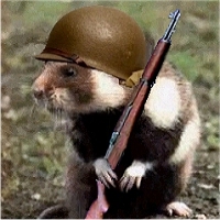 gi.jpg