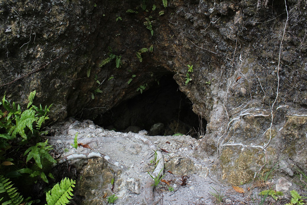 IMG_8566.jpg