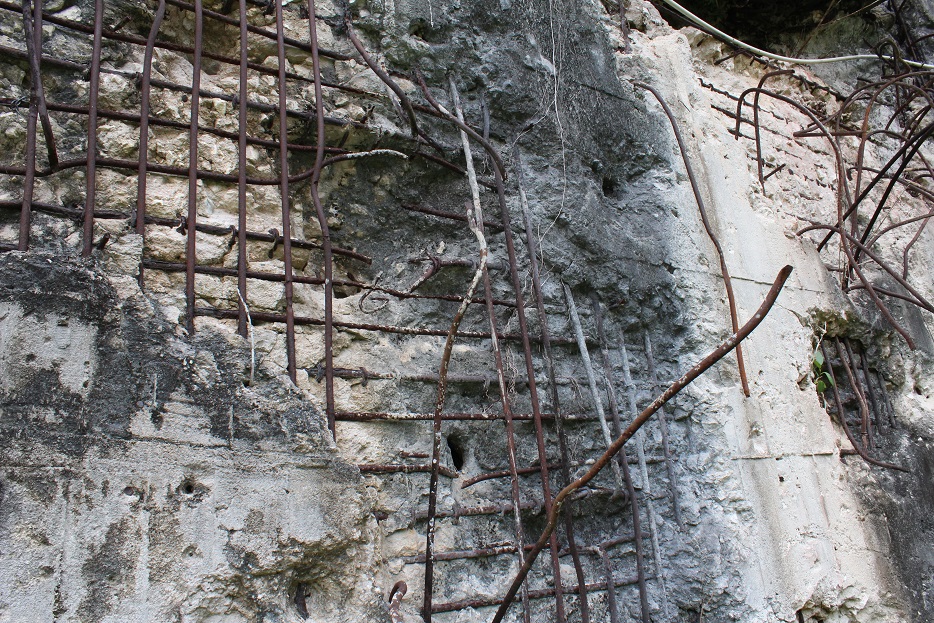 IMG_8622.jpg
