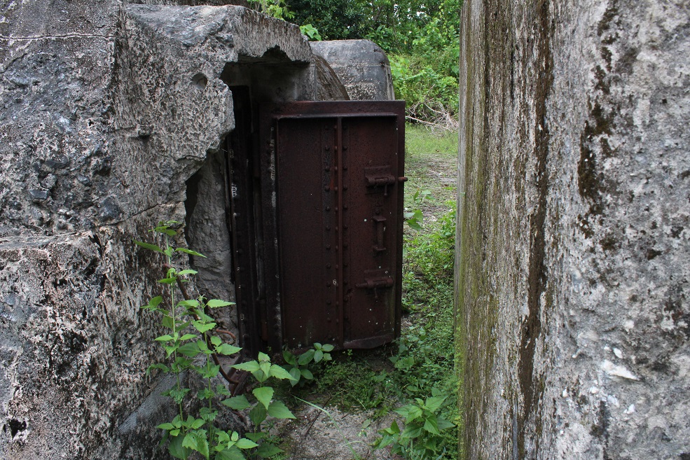 IMG_8659.jpg