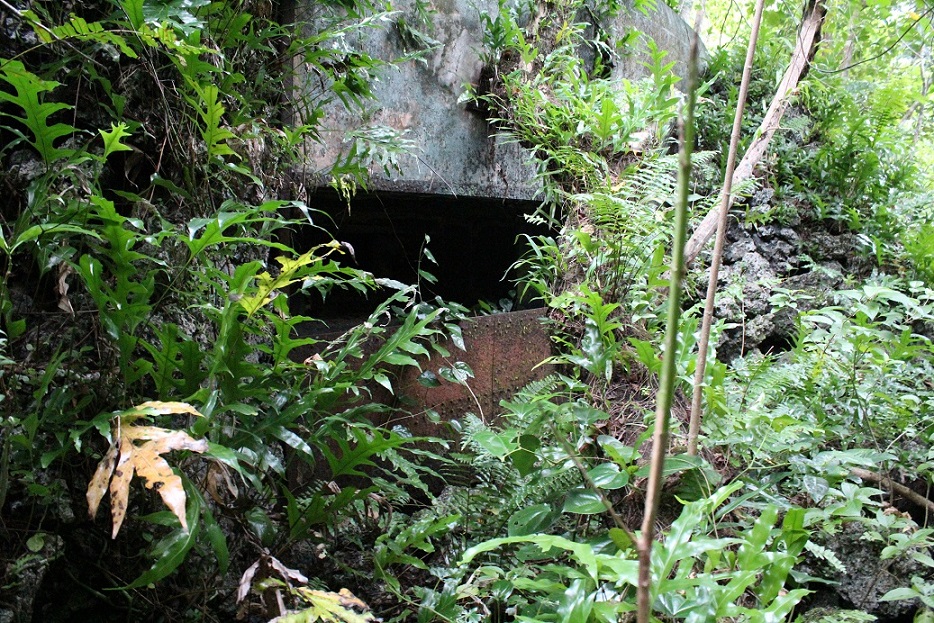 IMG_8734.jpg