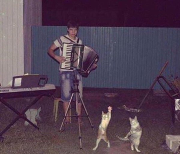 85456935.jpg