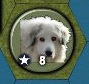 dog.jpg