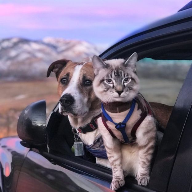 are we there yet.jpg