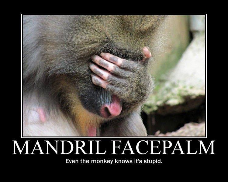 MandrillFacepalm.jpg