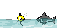 smileysharkchase.gif