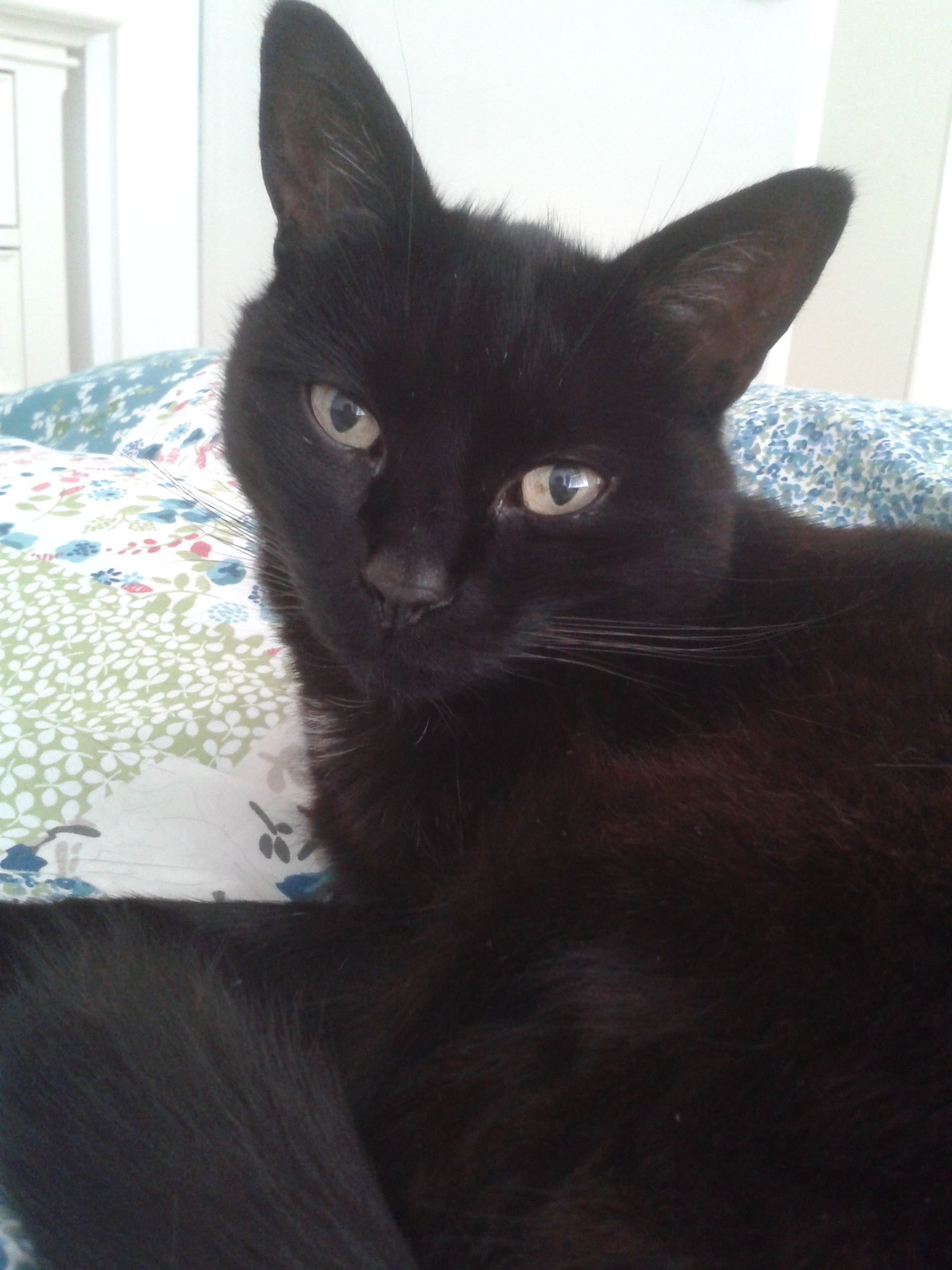 2014-08-27 09.03.20.jpg