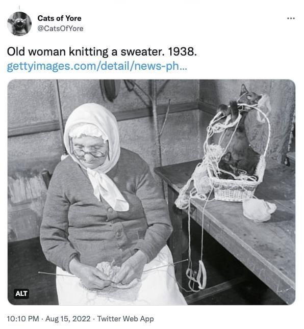 old woman knitting a sweater 1938.jpeg