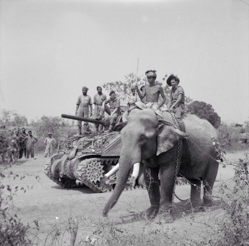Elephant Transport-Allies in Burma 44.jpg