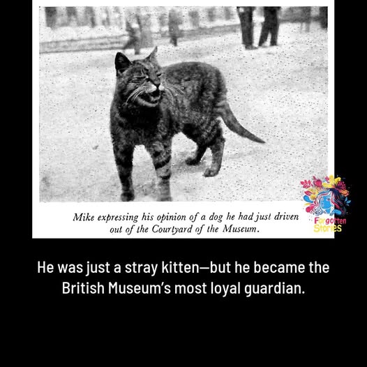 British Museum guard.jpg