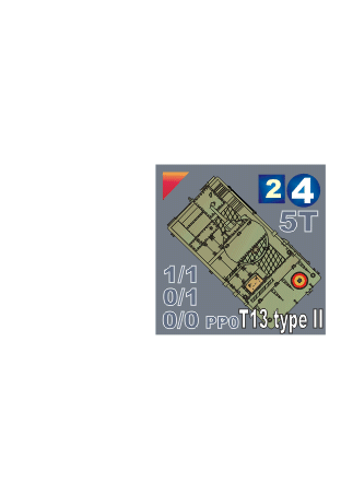 T13typeII_colorB.gif